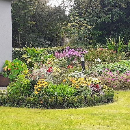 Conways B&B Claremorris Εξωτερικό φωτογραφία