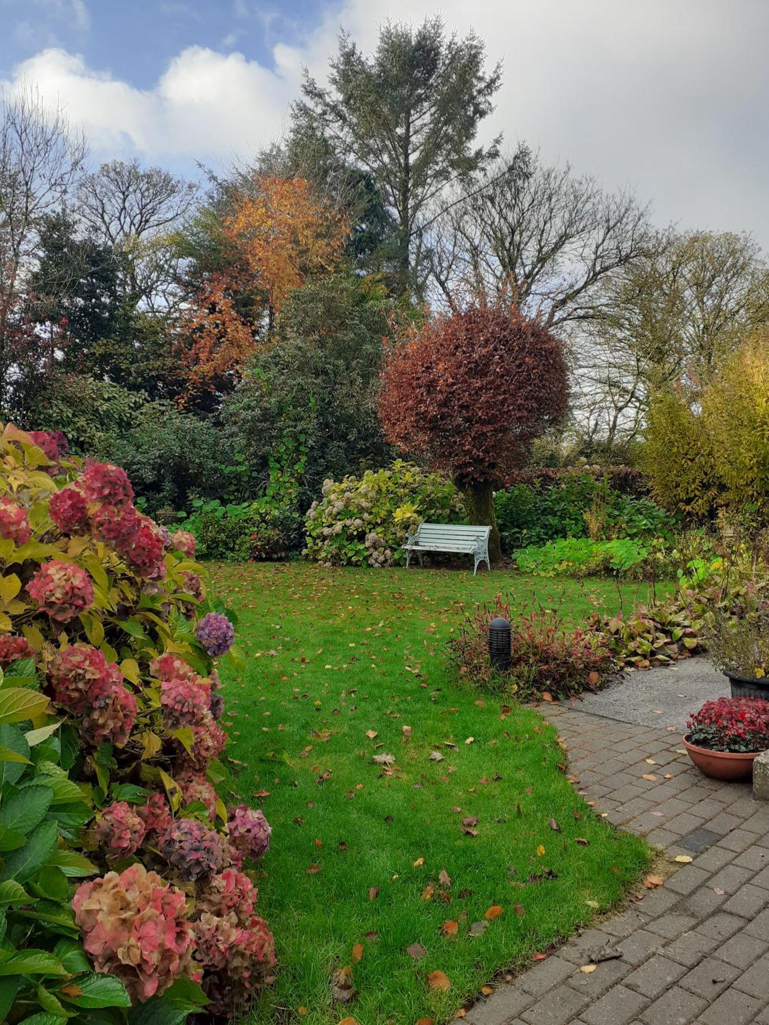 Conways B&B Claremorris Εξωτερικό φωτογραφία