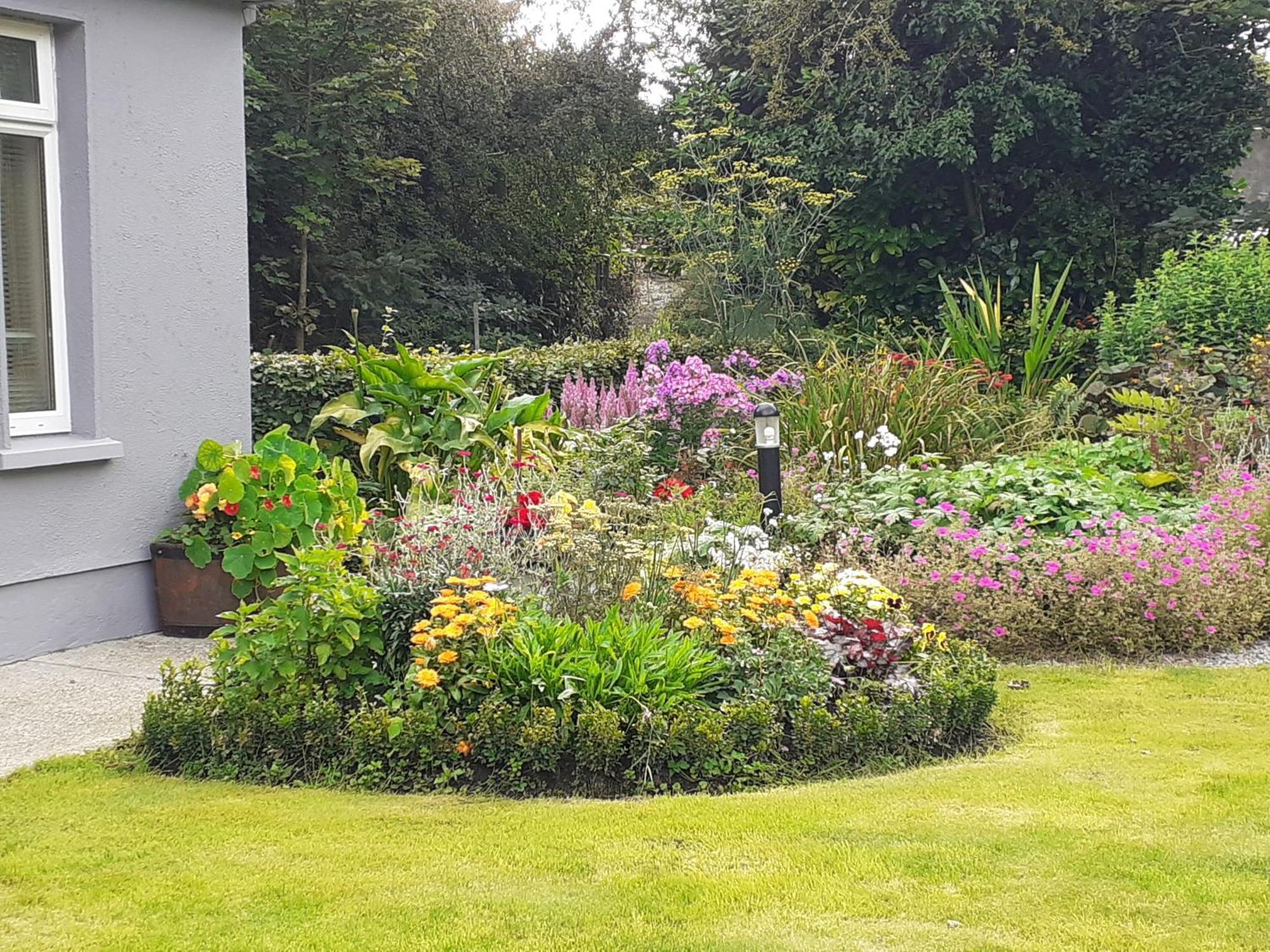 Conways B&B Claremorris Εξωτερικό φωτογραφία