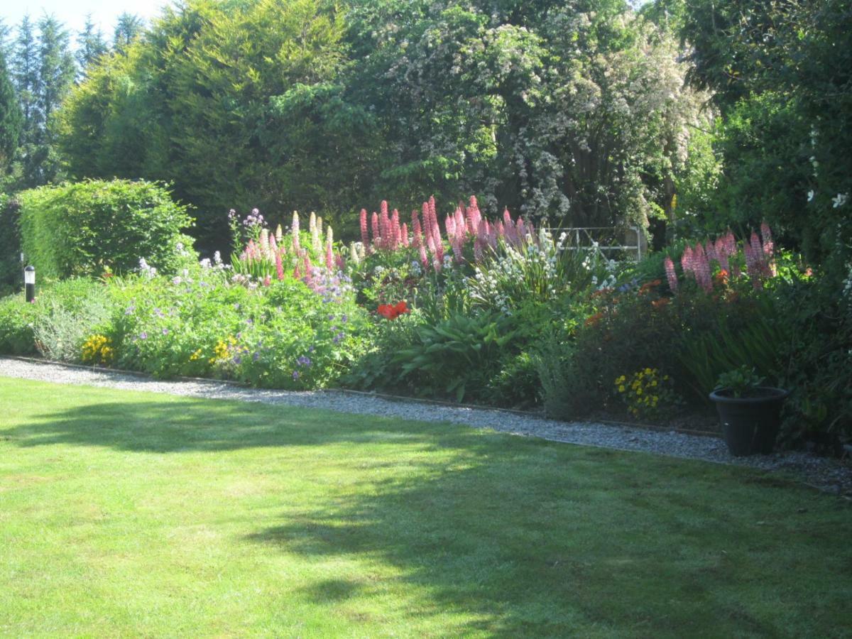 Conways B&B Claremorris Εξωτερικό φωτογραφία